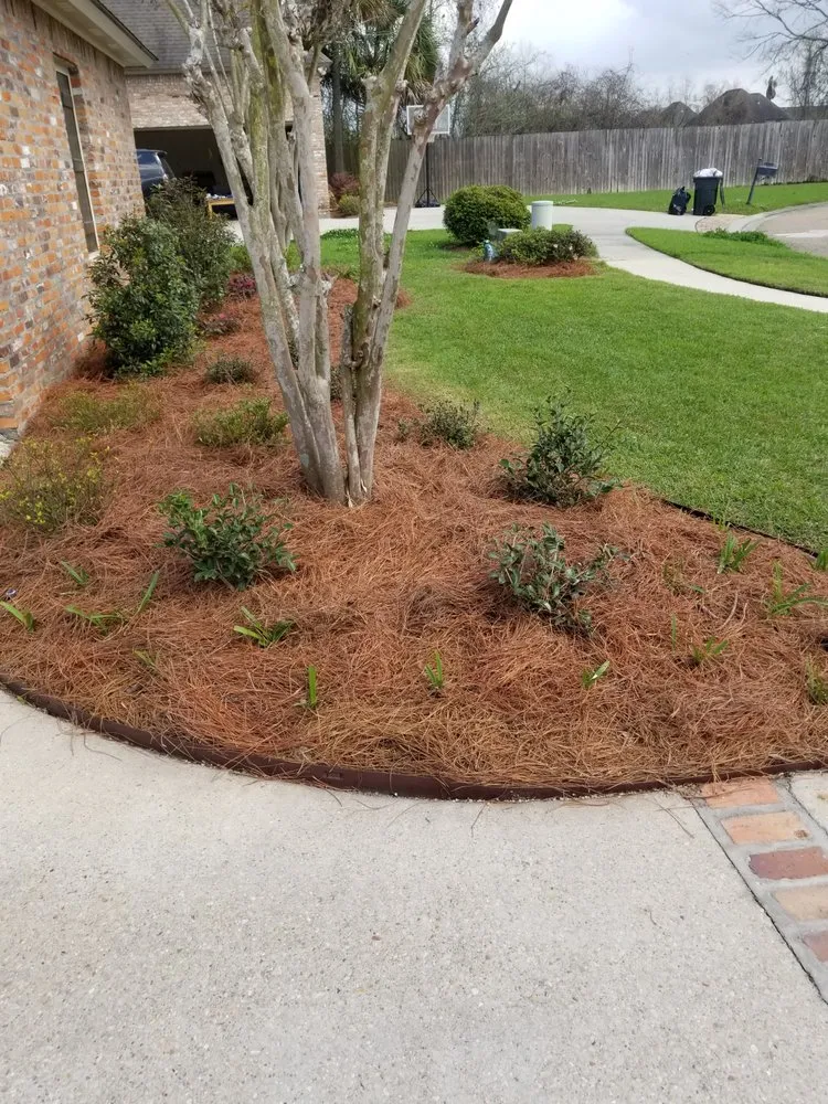 Top-rated residential landscaping in Gonzales, LA by B & M Lawn & Landscaping