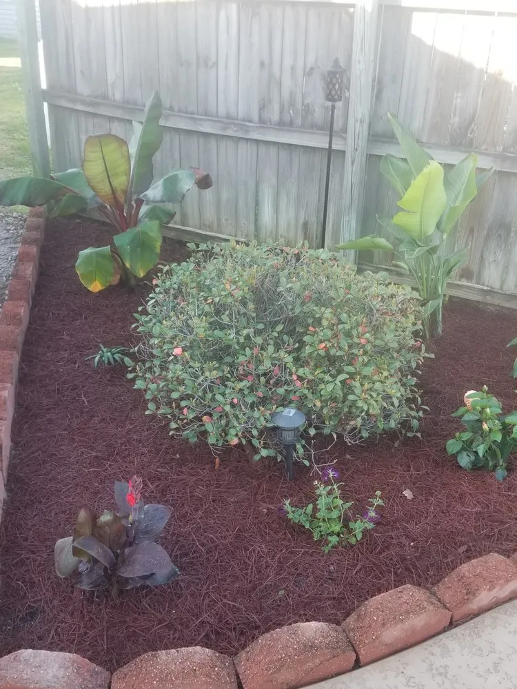 Expert yard maintenance for year-round maintenance across Gonzales, LA - B & M Lawn & Landscaping