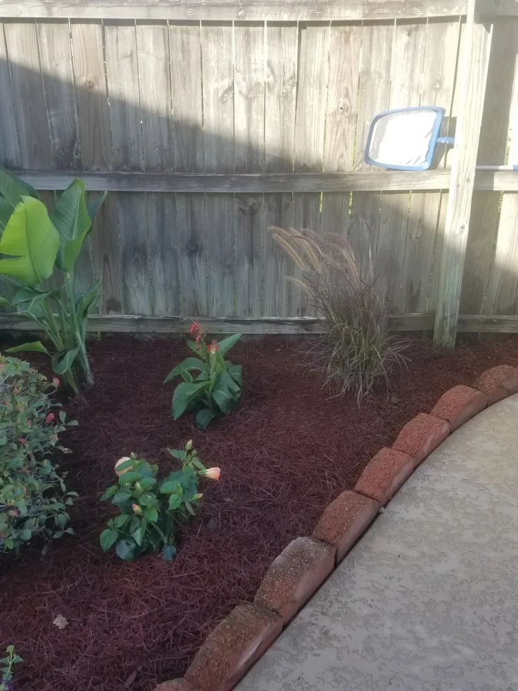 Local landscape installation in Gonzales, LA by B & M Lawn & Landscaping