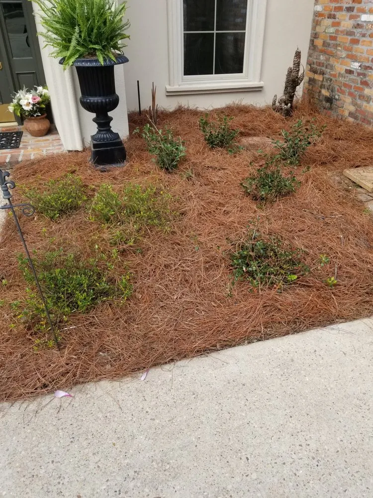 Local yard maintenance for homes in Gonzales, LA by B & M Lawn & Landscaping
