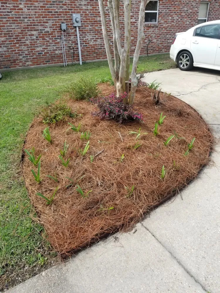 Local landscape installation with custom design in Gonzales, LA by B & M Lawn & Landscaping