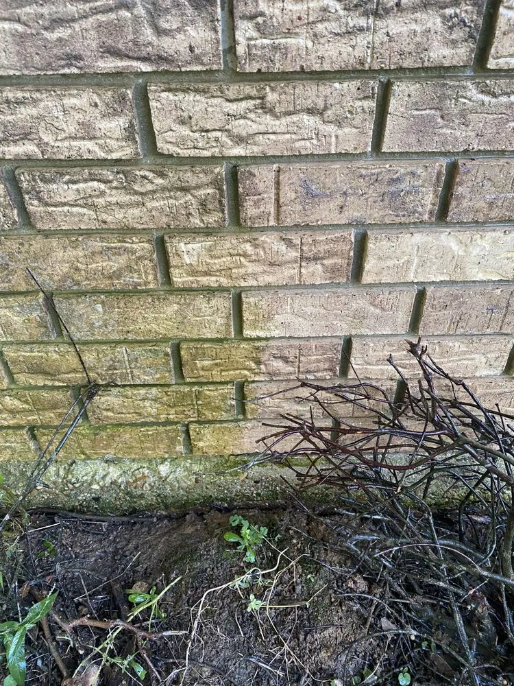 Local lawn care service near you across Benton, LA - B & M Property Services