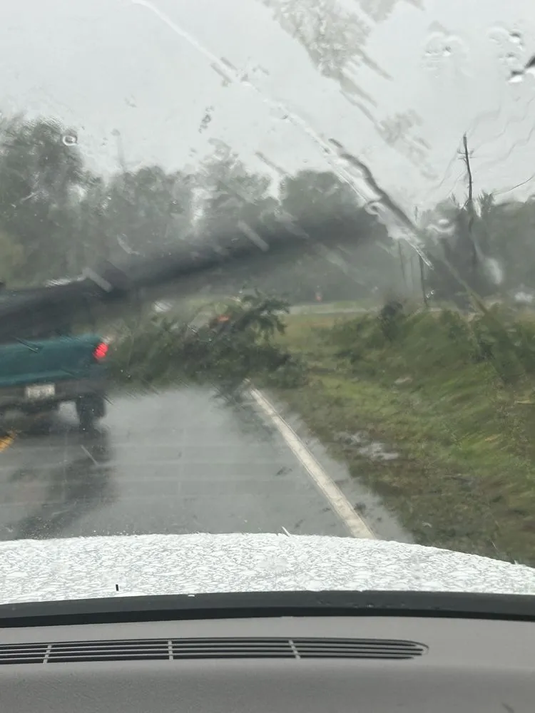 Local landscape design in Pickens, SC - B & M Tree Services