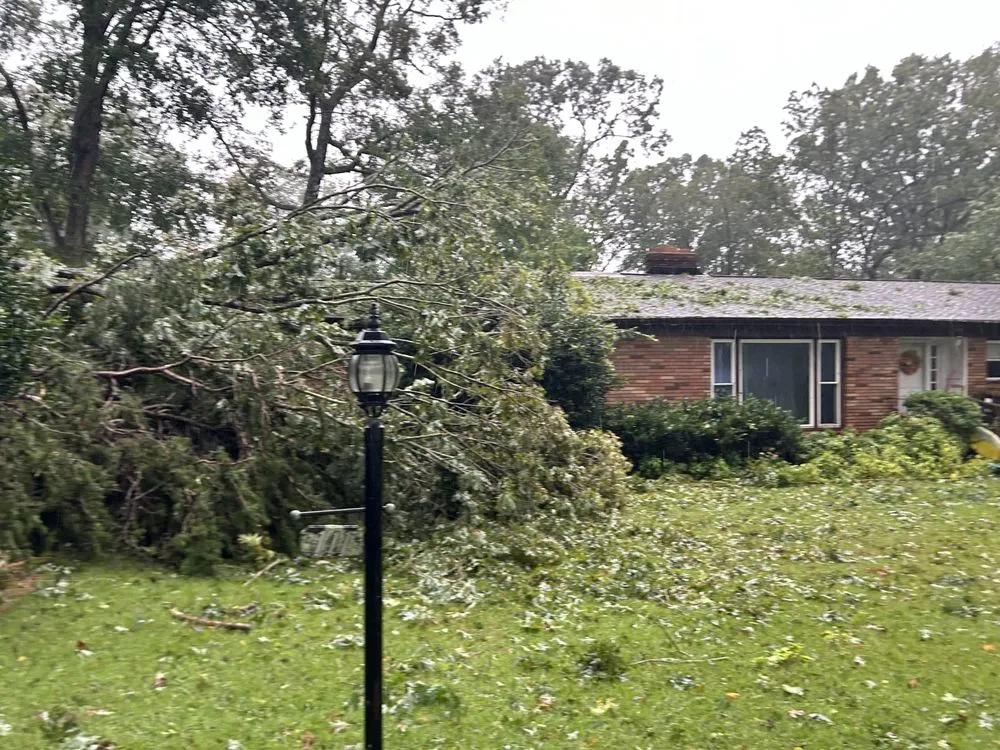 Custom lawn care service for homes across Pickens, SC - B & M Tree Services