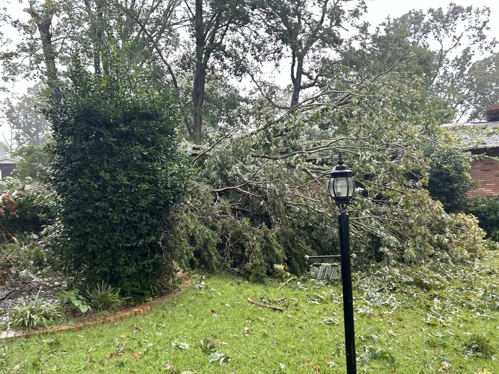 Top-rated landscape design in Pickens, SC - B & M Tree Services