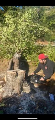 B & M Tree Services Logo