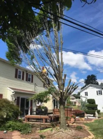 Reliable outdoor landscaping in Palmerton, PA by B & P Reliable Tree Service