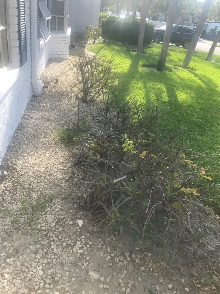 Custom landscape installation in Pompano Beach, FL - B & R Industries