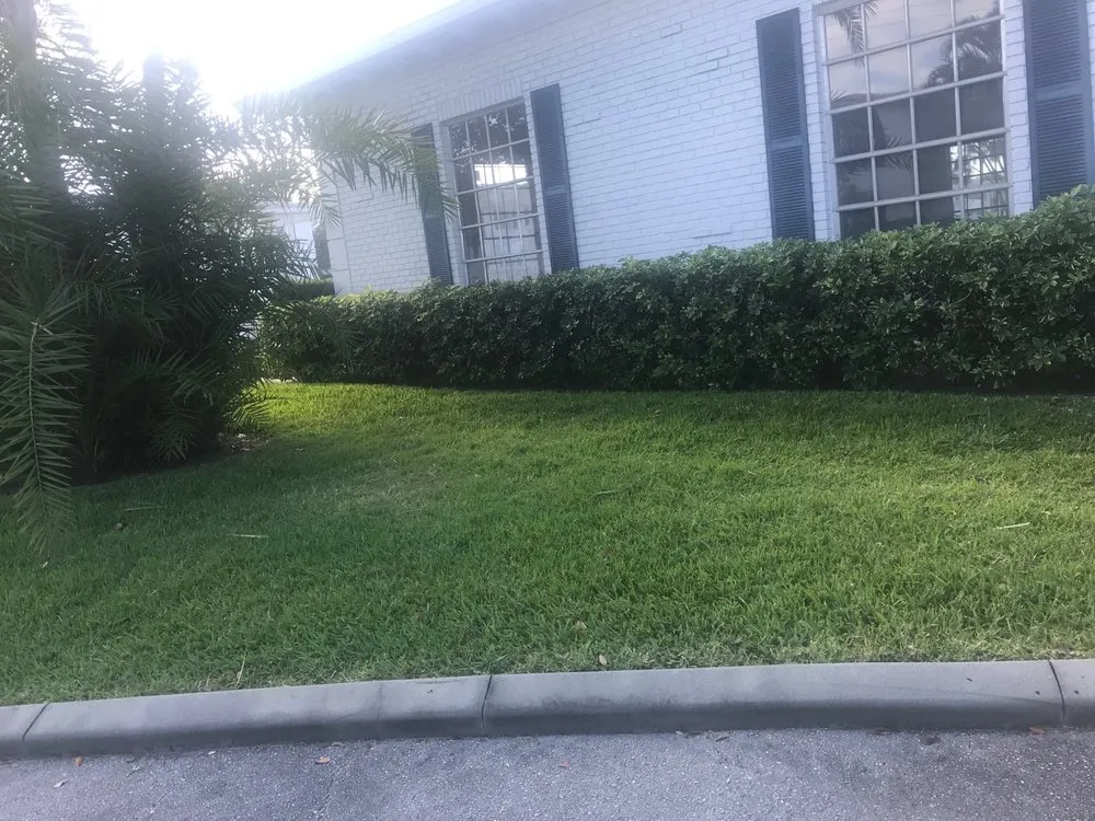 Professional outdoor landscaping in Pompano Beach, FL - B & R Industries