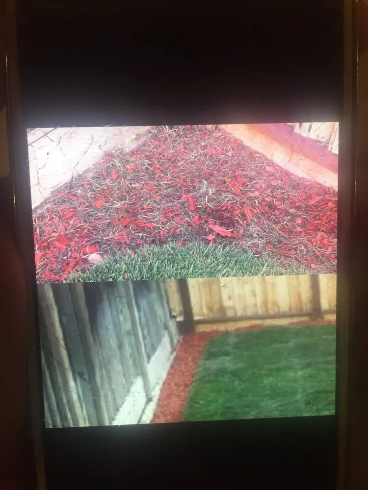 Professional landscaping services in Manteca, CA - B & R Landscaping