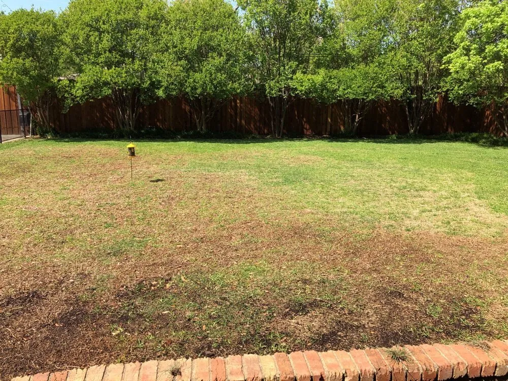 Expert yard maintenance in Manteca, CA - B & R Landscaping