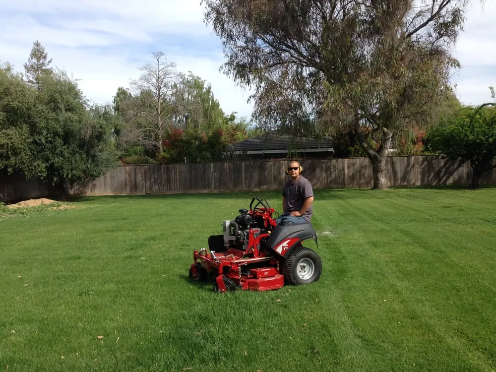 Reliable lawn care service experts serving Stockton, CA - B & R Lawn service