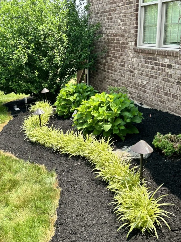Affordable yard maintenance in Richmond, KY - B & R Lawncare and Landscaping