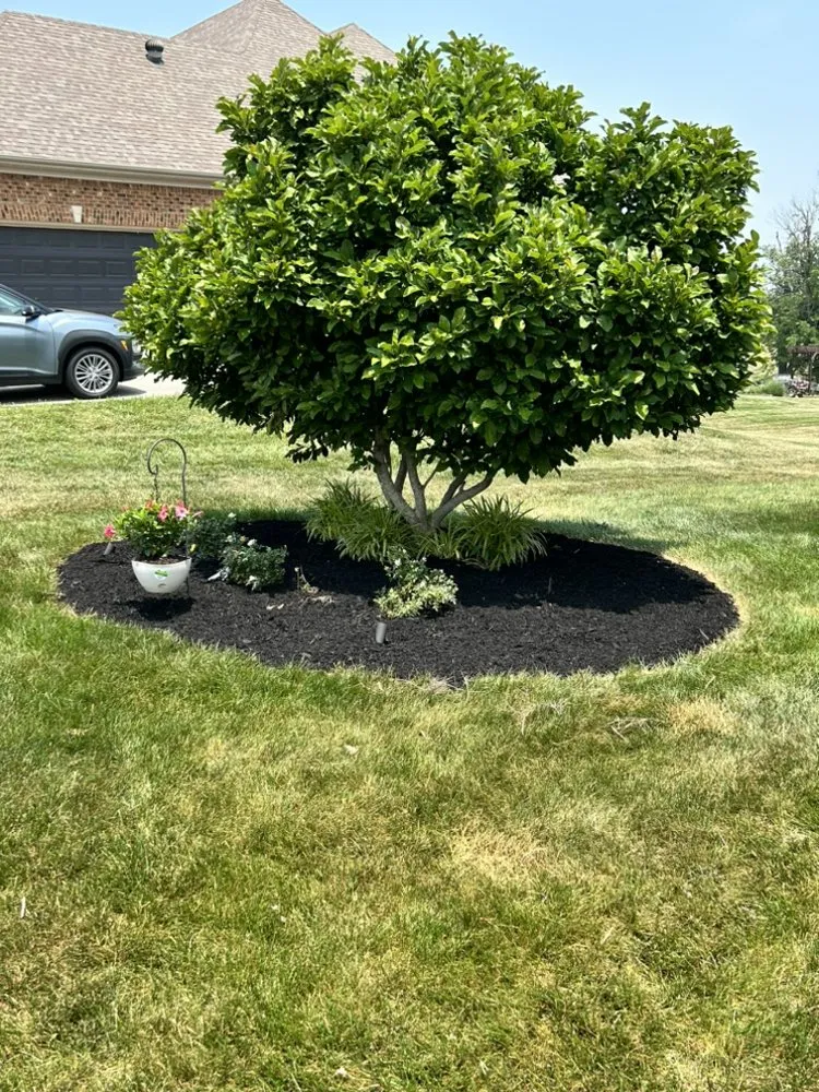 Professional yard cleanup service in Richmond, KY - B & R Lawncare and Landscaping