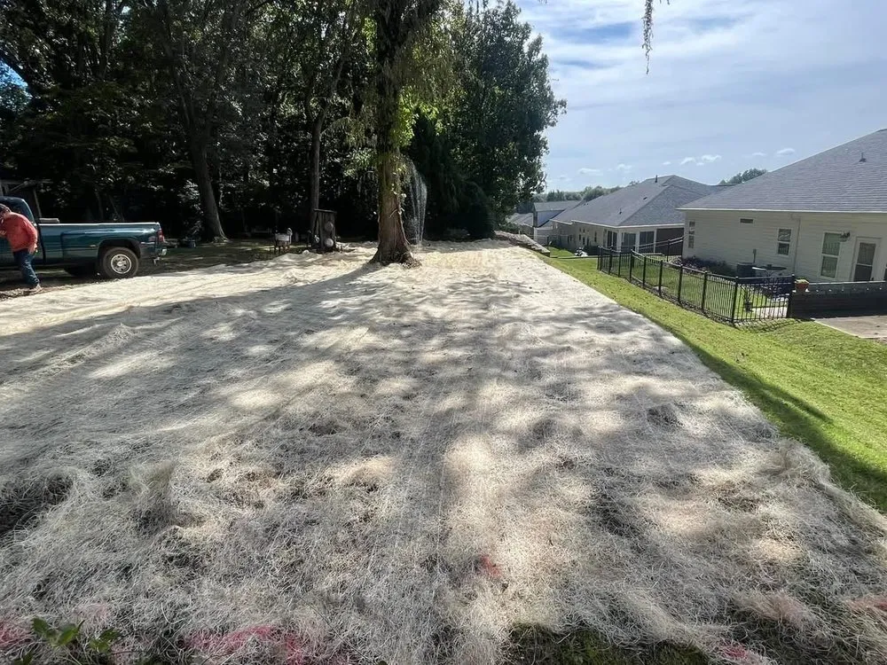 Trusted yard maintenance in Greenville, NC by B & R Lawncare