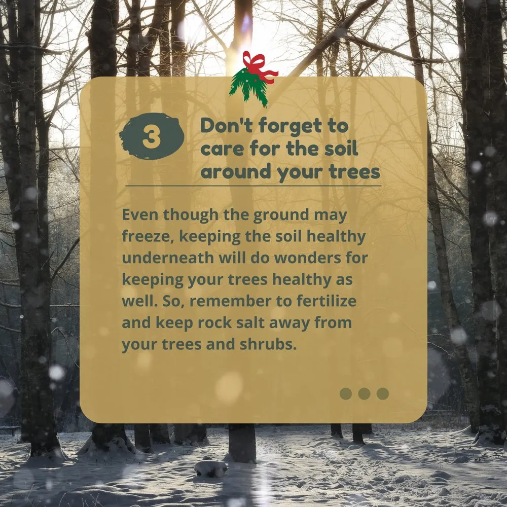 Trusted yard maintenance for outdoor upgrades in Inola, OK by B & R Tractor Service