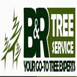 Reliable yard cleanup service with custom design across Fort Wayne, IN - B & R Tree Service