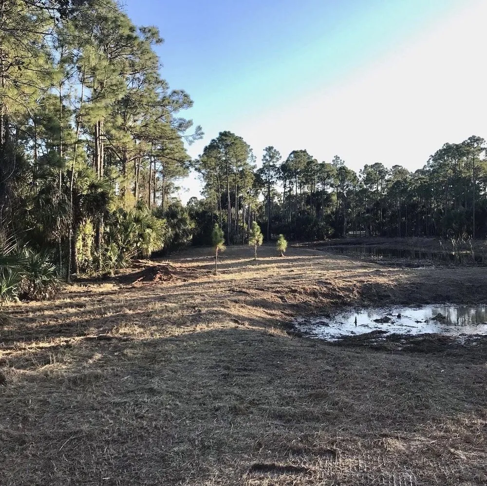 Trusted outdoor landscaping in Vero Beach, FL by B & S Lawn Service