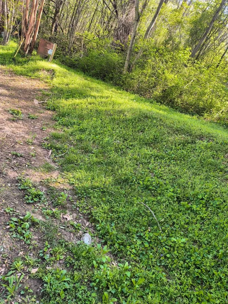 Trusted yard maintenance for outdoor upgrades across Calhoun, GA - B & S Lawncare & Pressure Washing