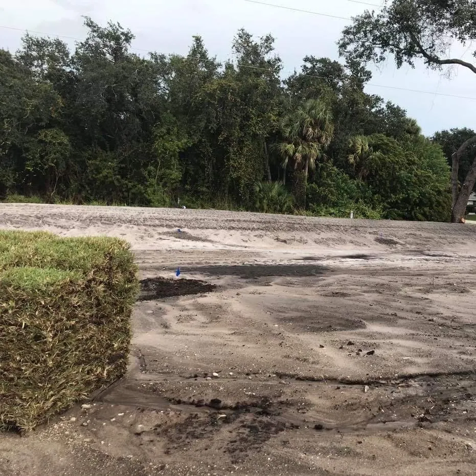 Affordable lawn care service in Okeechobee, FL by B & S Sod & Trucking