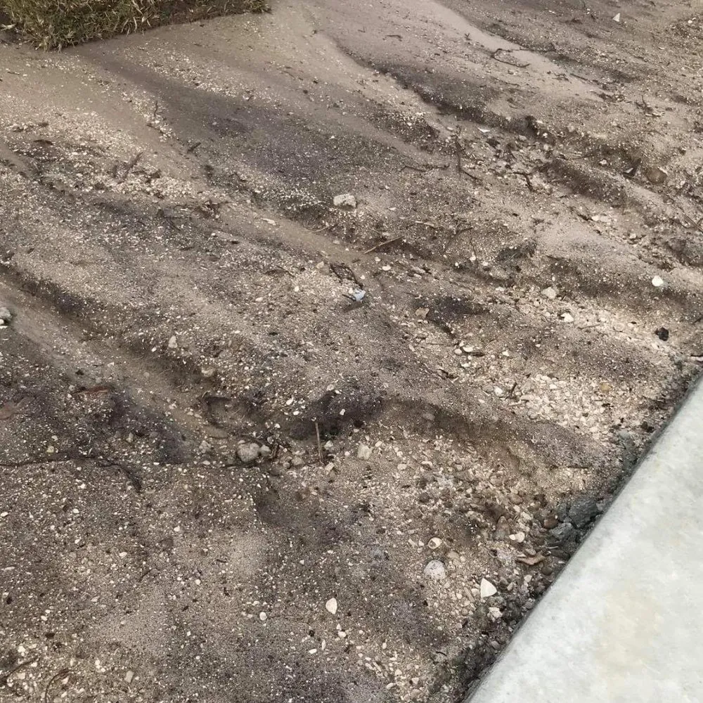 Professional yard cleanup service in Okeechobee, FL - B & S Sod & Trucking