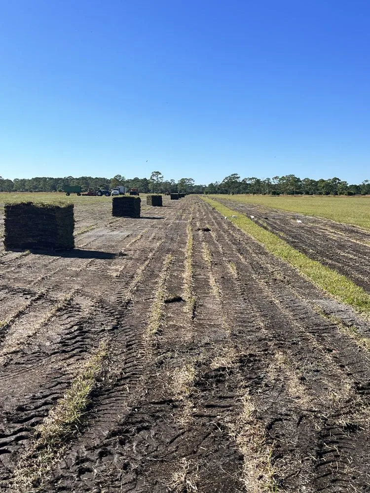 Local landscape design in Okeechobee, FL - B & S Sod & Trucking