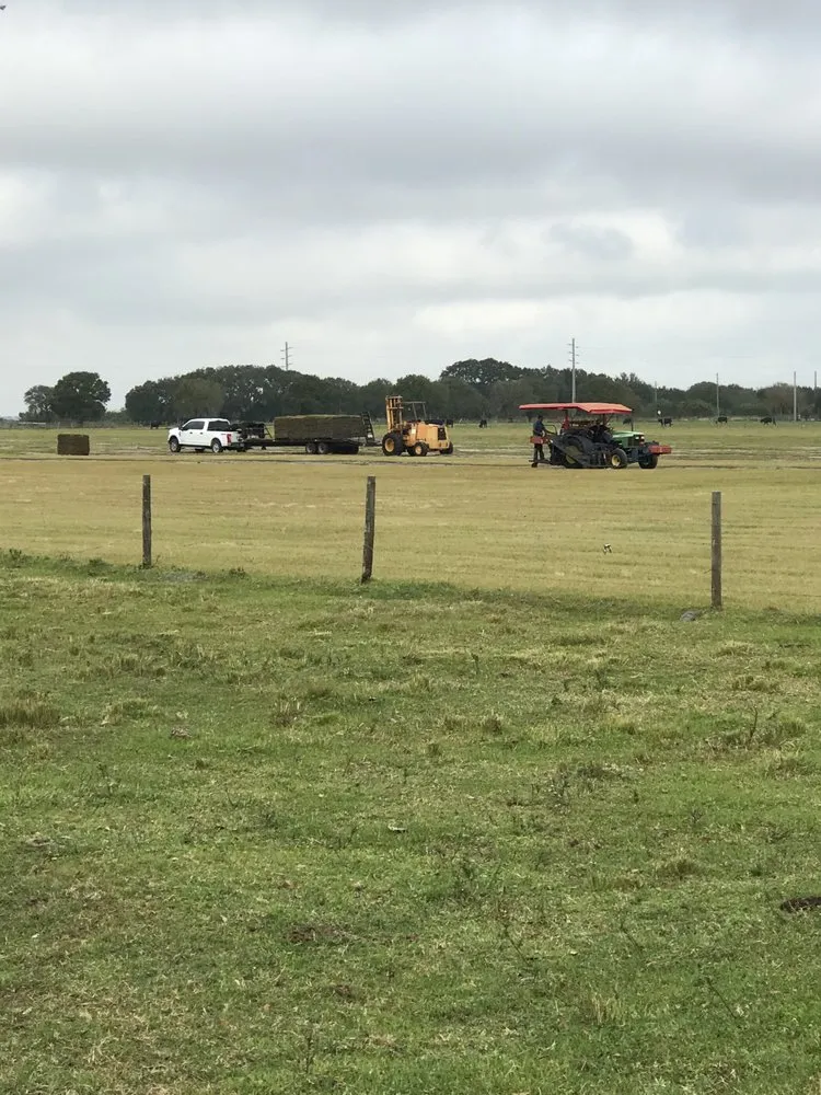 Professional landscaping services for outdoor upgrades across Okeechobee, FL - B & S Sod & Trucking