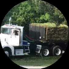 Expert yard cleanup service for residential properties in Okeechobee, FL by B & S Sod & Trucking