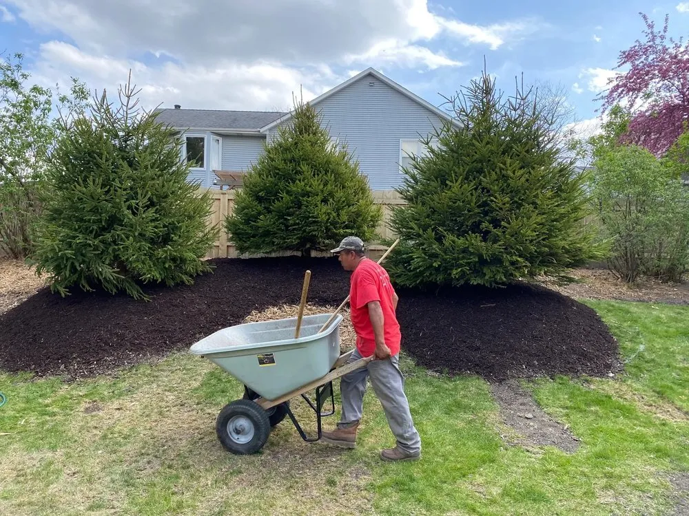Affordable yard maintenance for homes in Crystal Lake, IL by B & S Tree Removal