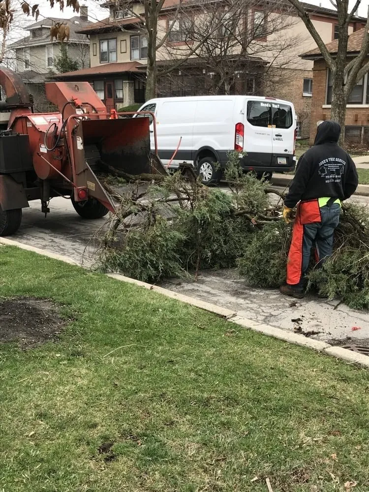 Local landscaping services for residential properties in Crystal Lake, IL by B & S Tree Removal