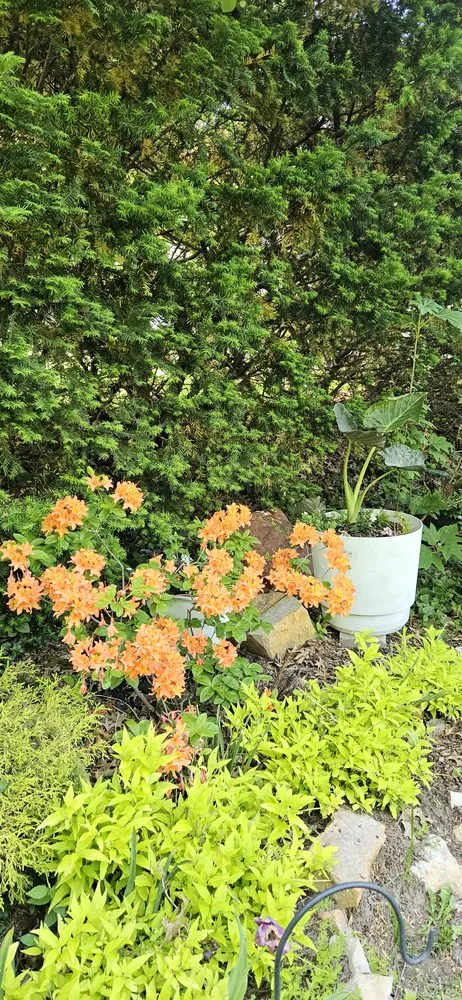 Professional landscape design in Leavenworth, KS - B & T Garden Studio