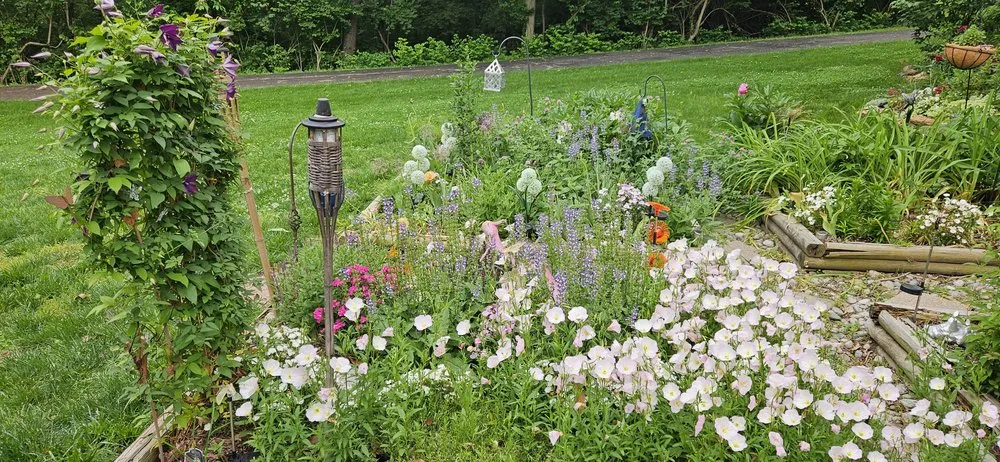 Reliable lawn care service experts serving Leavenworth, KS - B & T Garden Studio