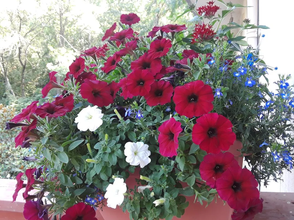 Custom yard cleanup service in Leavenworth, KS by B & T Garden Studio