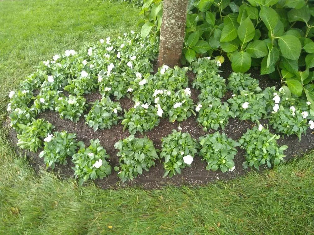 Affordable landscape design in Putnam, CT - B & V Landscaping