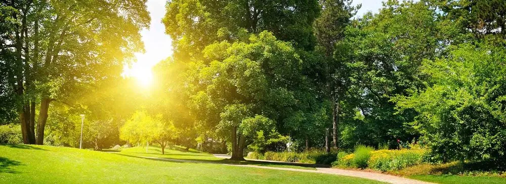 Custom outdoor landscaping for residential properties across Sandwich, MA - B A McGuire Tree & Landscape