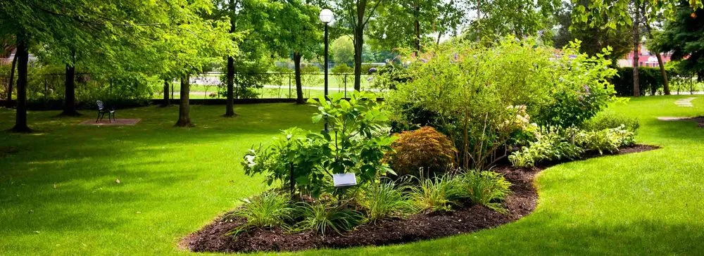 Expert lawn mowing service in Sandwich, MA - B A McGuire Tree & Landscape