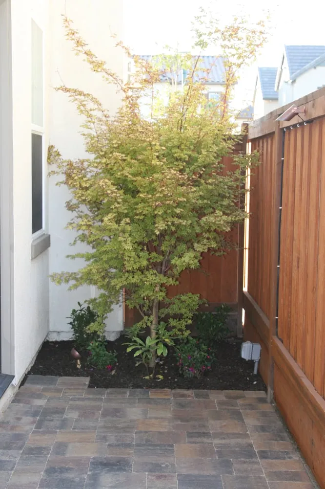 Expert landscape design in Pasadena, CA - B A Pavers and Landscape