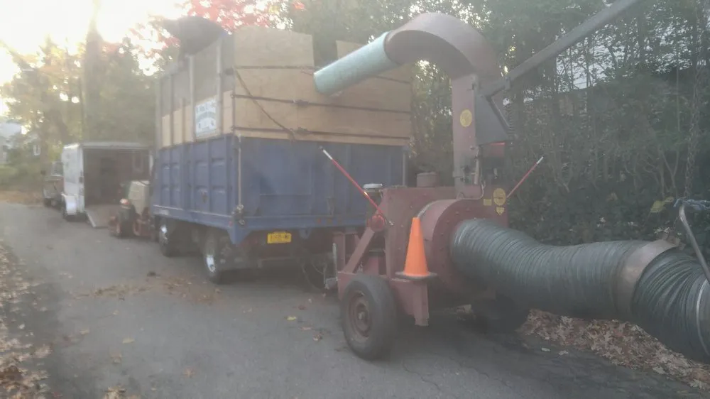 Expert yard cleanup service in Oyster Bay, NY - B Alas Landscaping