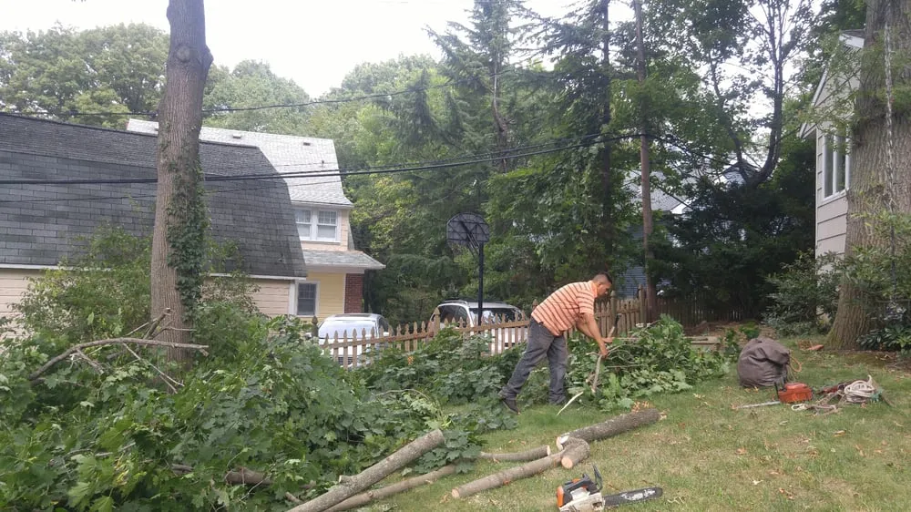 Expert landscape design in Oyster Bay, NY - B Alas Landscaping