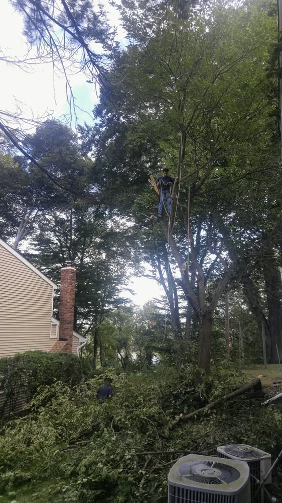 Local yard maintenance in Oyster Bay, NY - B Alas Landscaping