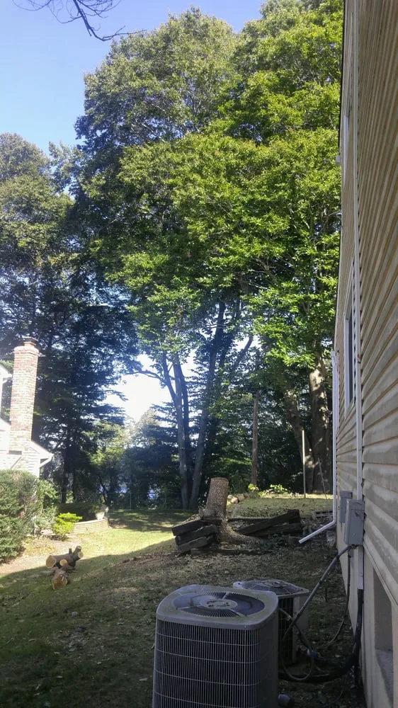 Professional landscape design experts serving Oyster Bay, NY - B Alas Landscaping