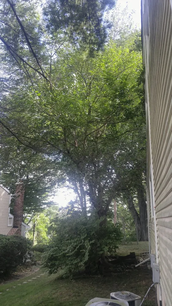 Top-rated landscape design in Oyster Bay, NY - B Alas Landscaping