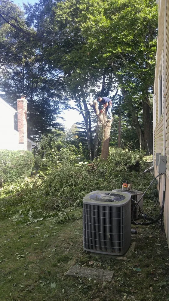 Top-rated landscape design in Oyster Bay, NY - B Alas Landscaping