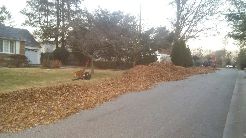 Trusted landscaping services in Oyster Bay, NY by B Alas Landscaping