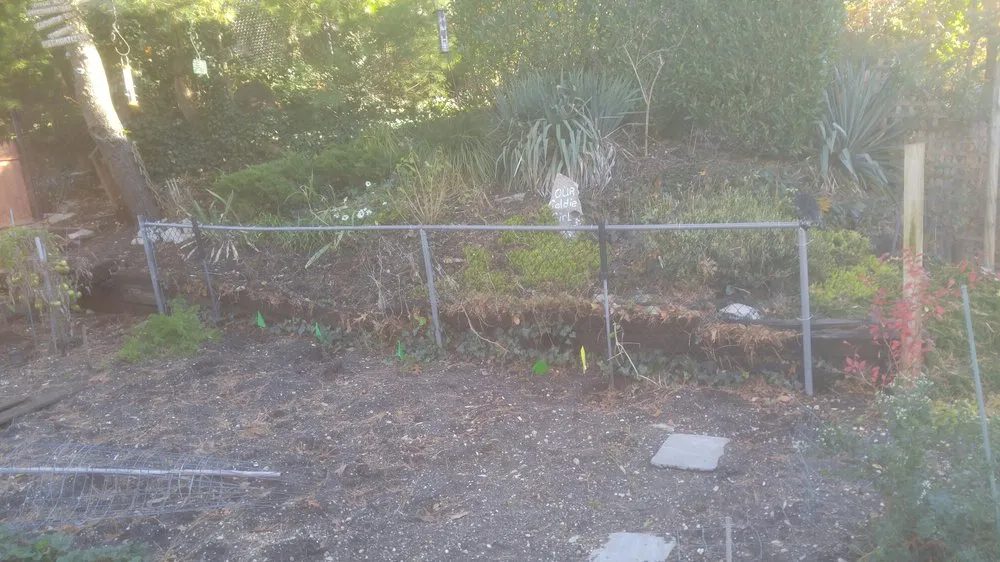 Top-rated garden landscaping for outdoor upgrades across Oyster Bay, NY - B Alas Landscaping