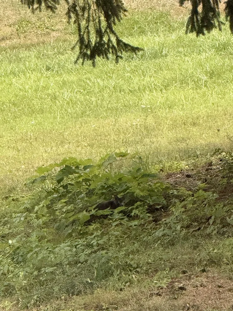 Local outdoor landscaping in Clearfield, PA - B And B Landscaping