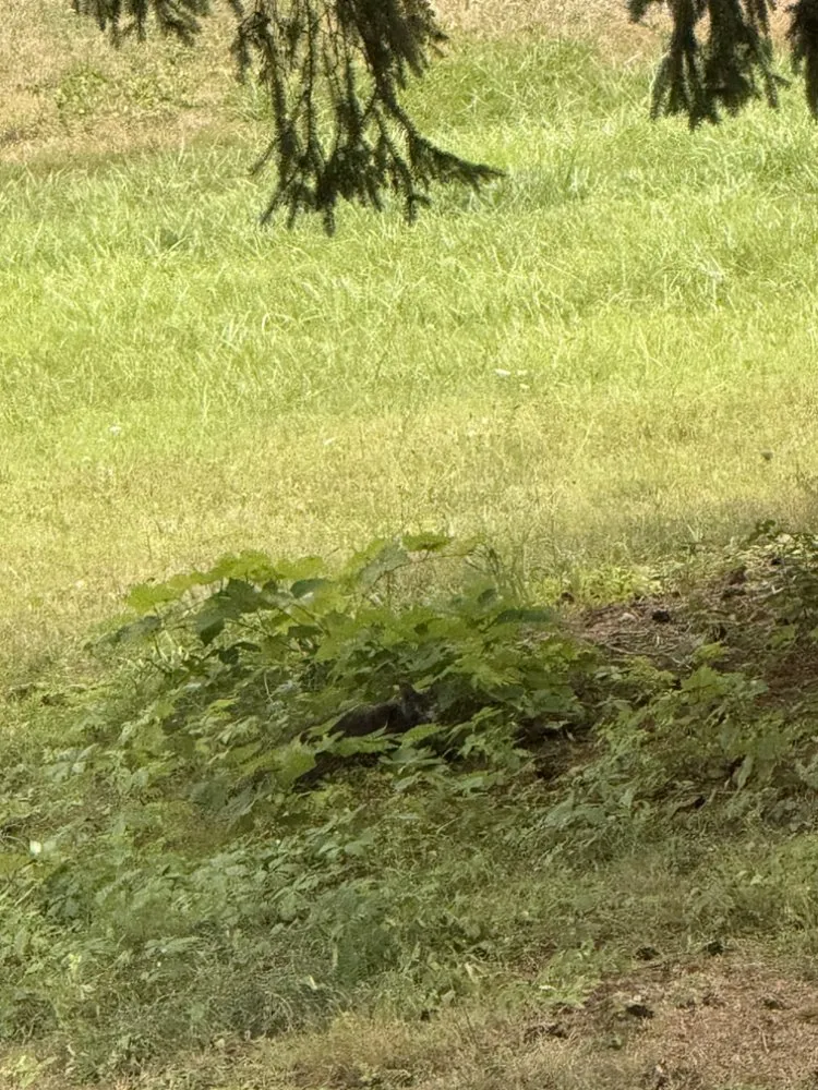 Professional residential landscaping for residential properties in Clearfield, PA by B And B Landscaping