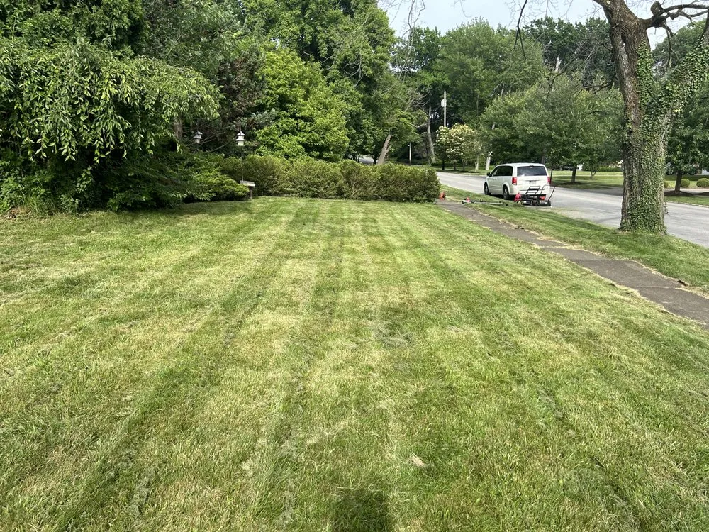 Expert lawn care service with custom design in New Castle, PA by B and B landscaping