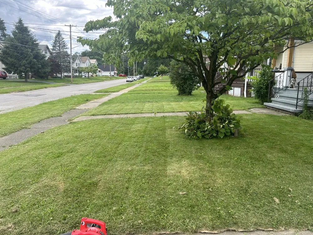 Top-rated lawn mowing service experts serving New Castle, PA - B and B landscaping