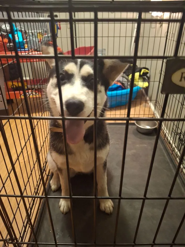 Professional yard cleanup service with custom design in Vidalia, GA by B And B Lawn Services